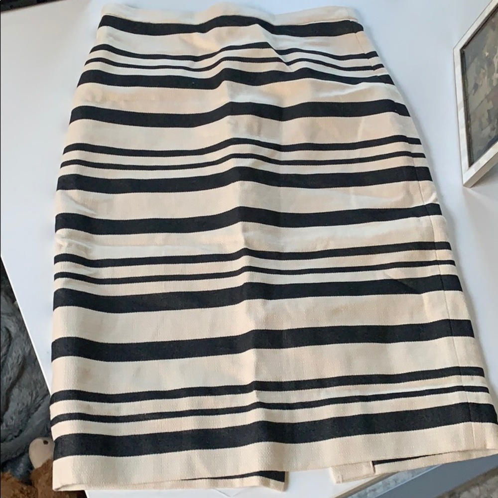 Jcrew skirt